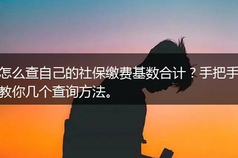 怎么查自己的社保缴费基数合计？手把手教你几个查询方法。