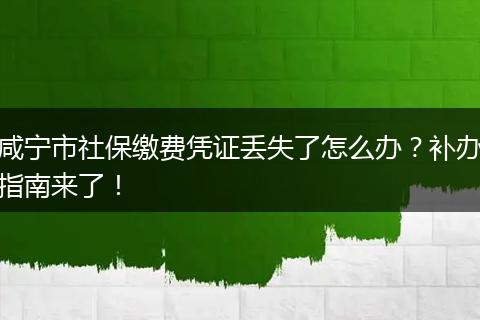 咸宁市社保缴费凭证丢失了怎么办？补办指南来了！