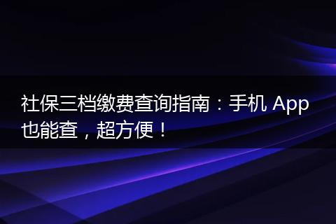 社保三档缴费查询指南：手机 App 也能查，超方便！