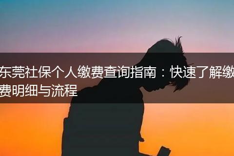 东莞社保个人缴费查询指南：快速了解缴费明细与流程