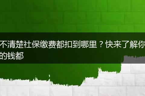 不清楚社保缴费都扣到哪里？快来了解你的钱都