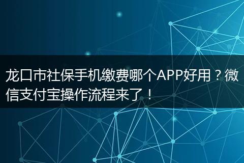 龙口市社保手机缴费哪个APP好用？微信支付宝操作流程来了！