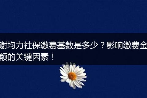 谢均力社保缴费基数是多少？影响缴费金额的关键因素！