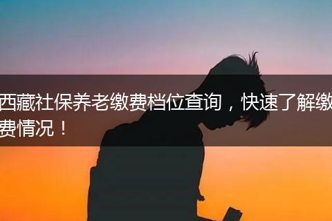 西藏社保养老缴费档位查询，快速了解缴费情况！
