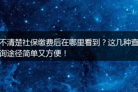 不清楚社保缴费后在哪里看到？这几种查询途径简单又方便！