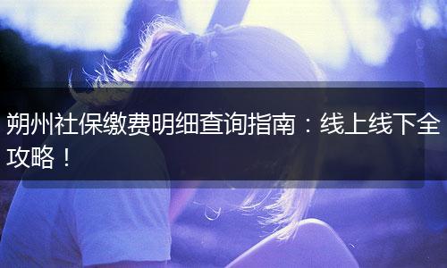朔州社保缴费明细查询指南：线上线下全攻略！