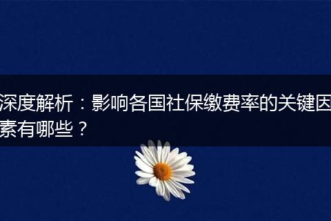 深度解析：影响各国社保缴费率的关键因素有哪些？