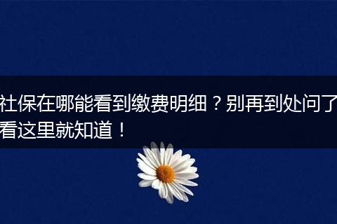 社保在哪能看到缴费明细？别再到处问了看这里就知道！