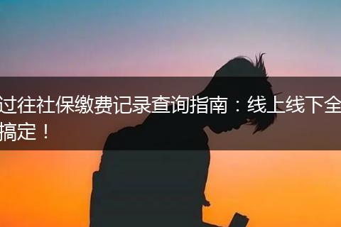 过往社保缴费记录查询指南:线上线下全搞定!