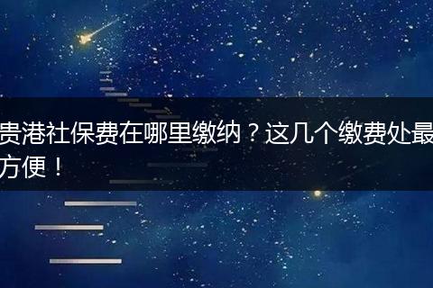 贵港社保费在哪里缴纳？这几个缴费处最方便！