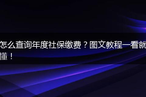 怎么查询年度社保缴费？图文教程一看就懂！