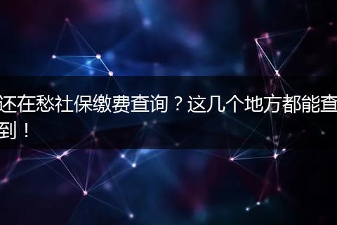 还在愁社保缴费查询？这几个地方都能查到！