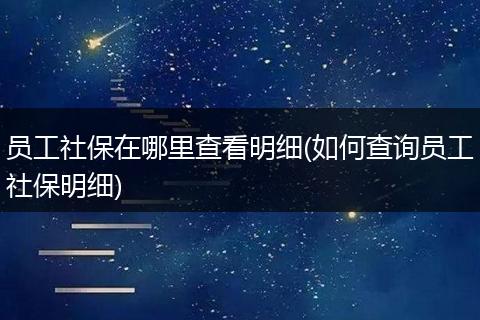 员工社保在哪里查看明细(如何查询员工社保明细)