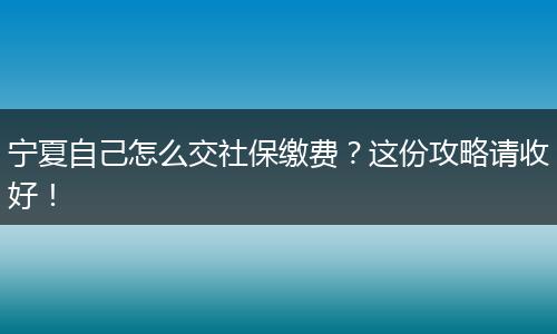 宁夏自己怎么交社保缴费？这份攻略请收好！