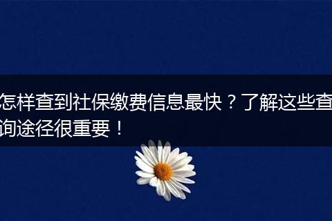 怎样查到社保缴费信息最快？了解这些查询途径很重要！