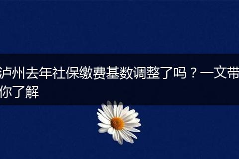 泸州去年社保缴费基数调整了吗？一文带你了解