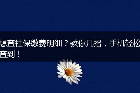 想查社保缴费明细？教你几招，手机轻松查到！