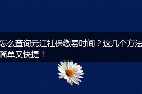 怎么查询元江社保缴费时间？这几个方法简单又快捷！