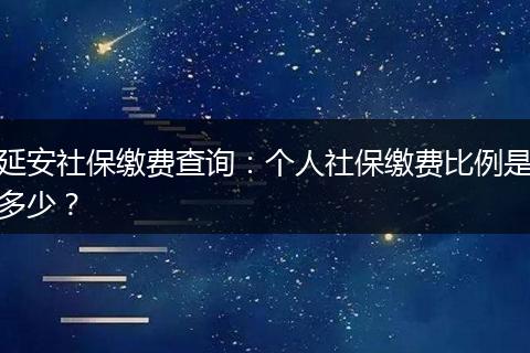 延安社保缴费查询：个人社保缴费比例是多少？