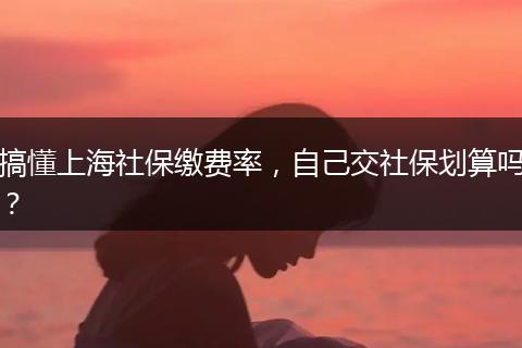 搞懂上海社保缴费率，自己交社保划算吗？