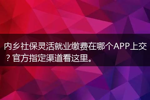 内乡社保灵活就业缴费在哪个APP上交？官方指定渠道看这里。