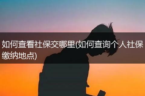 如何查看社保交哪里(如何查询个人社保缴纳地点)
