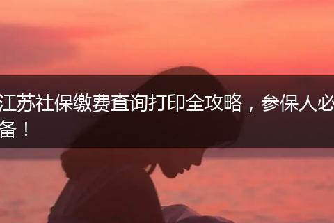 江苏社保缴费查询打印全攻略，参保人必备！