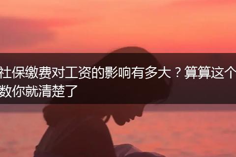 社保缴费对工资的影响有多大？算算这个数你就清楚了