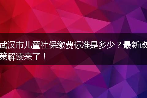 武汉市儿童社保缴费标准是多少？最新政策解读来了！