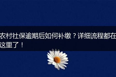 农村社保逾期后如何补缴？详细流程都在这里了！