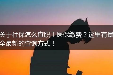 关于社保怎么查职工医保缴费?这里有最全最新的查询方式!