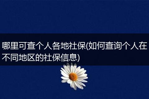 哪里可查个人各地社保(如何查询个人在不同地区的社保信息)