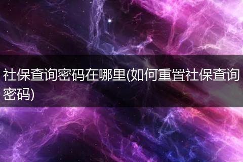社保查询密码在哪里(如何重置社保查询密码)