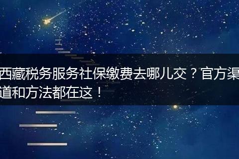 西藏税务服务社保缴费去哪儿交？官方渠道和方法都在这！