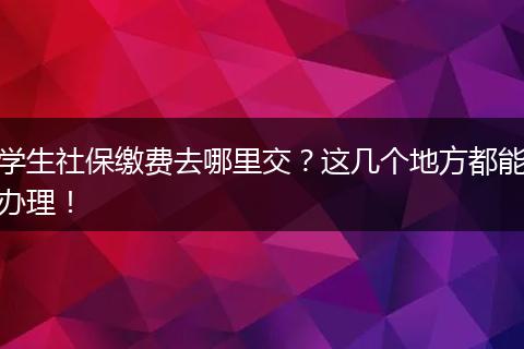 学生社保缴费去哪里交？这几个地方都能办理！