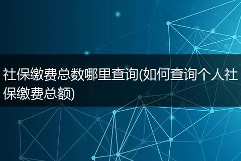 社保缴费总数哪里查询(如何查询个人社保缴费总额)