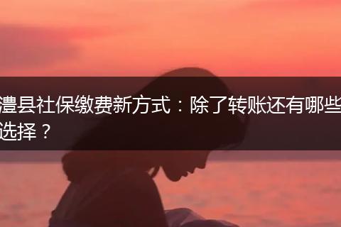 澧县社保缴费新方式：除了转账还有哪些选择？