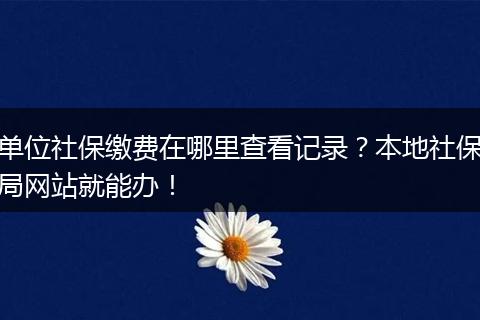 单位社保缴费在哪里查看记录？本地社保局网站就能办！