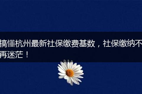 搞懂杭州最新社保缴费基数，社保缴纳不再迷茫！