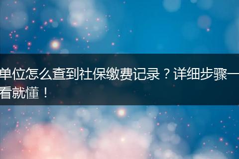 单位怎么查到社保缴费记录？详细步骤一看就懂！