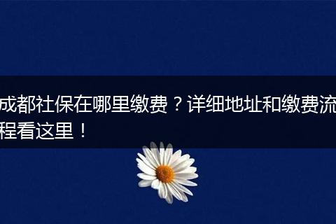 成都社保在哪里缴费？详细地址和缴费流程看这里！