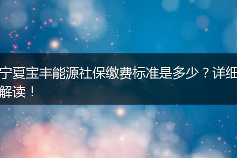 宁夏宝丰能源社保缴费标准是多少?详细解读!