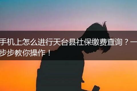 手机上怎么进行天台县社保缴费查询?一步步教你操作!