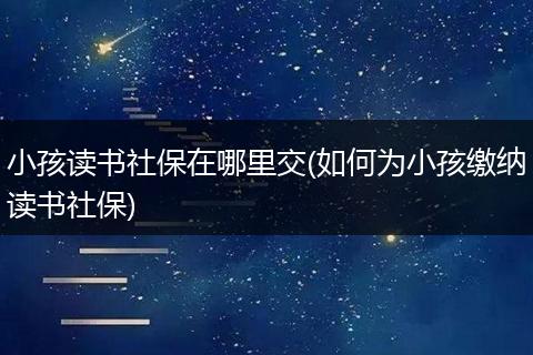 小孩读书社保在哪里交(如何为小孩缴纳读书社保)