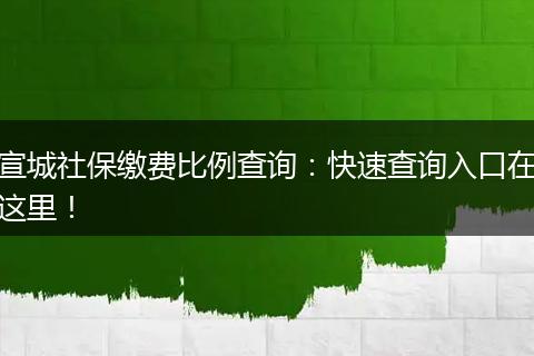 宣城社保缴费比例查询：快速查询入口在这里！