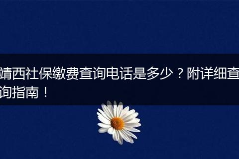 靖西社保缴费查询电话是多少？附详细查询指南！