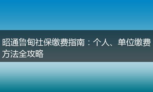 昭通鲁甸社保缴费指南：个人、单位缴费方法全攻略
