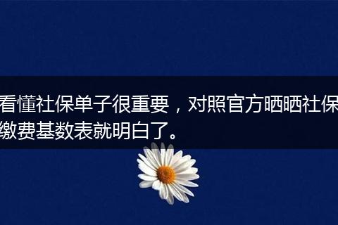 看懂社保单子很重要，对照官方晒晒社保缴费基数表就明白了。