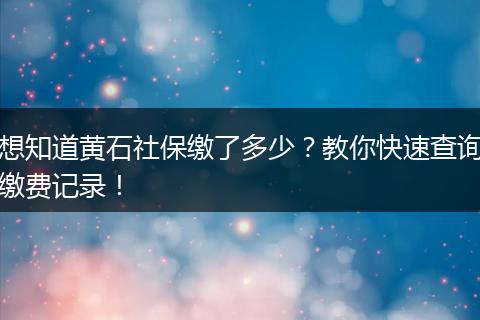 想知道黄石社保缴了多少？教你快速查询缴费记录！