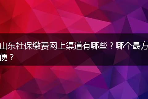山东社保缴费网上渠道有哪些？哪个最方便？